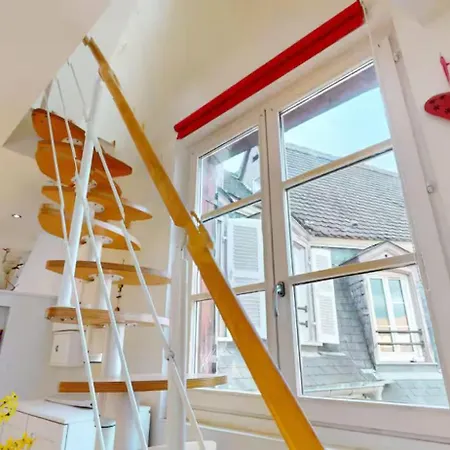 Le Nid Des Tanneurs Centre Colmar