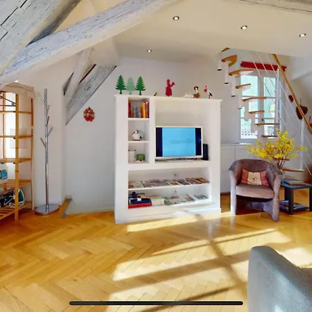 Le Nid Des Tanneurs Centre Appartement Colmar