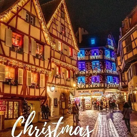 Le Nid Des Tanneurs Centre Colmar