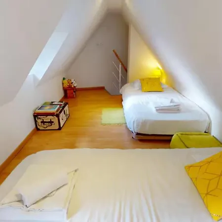 Le Nid Des Tanneurs Centre * Colmar