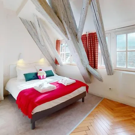 Le Nid Des Tanneurs Centre Appartement Colmar