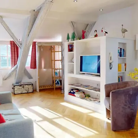 Le Nid Des Tanneurs Centre Colmar