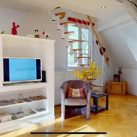 Le Nid Des Tanneurs Centre Colmar