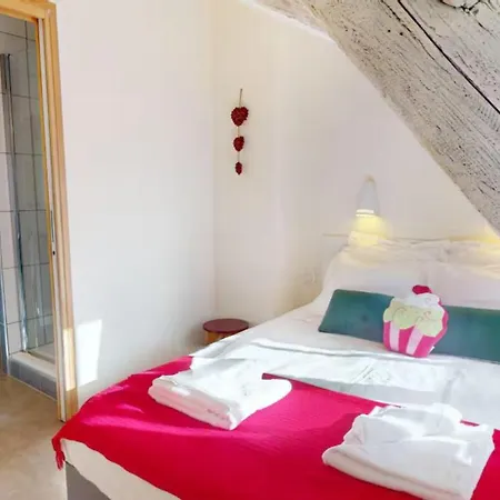 Apartamento Le Nid Des Tanneurs Centre *