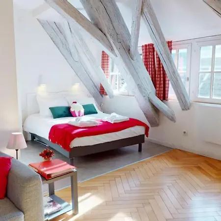 Le Nid Des Tanneurs Centre * Colmar