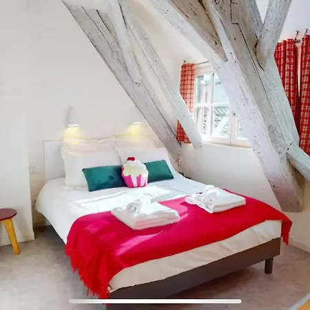 Appartement Le Nid Des Tanneurs Centre *