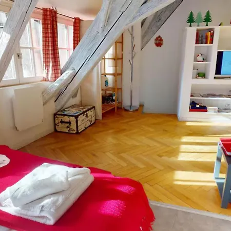 Apartamento Le Nid Des Tanneurs Centre *