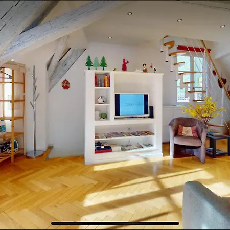 Appartement Le Nid Des Tanneurs Centre Colmar