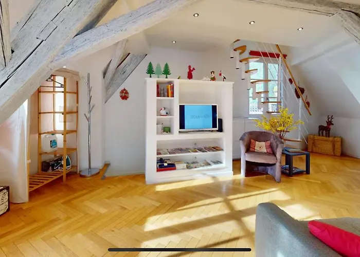 Le Nid Des Tanneurs Centre Appartement Colmar