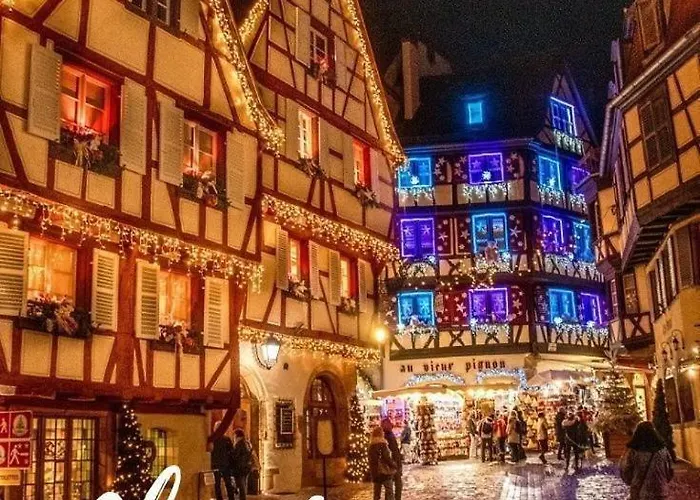 Le Nid Des Tanneurs Centre Colmar
