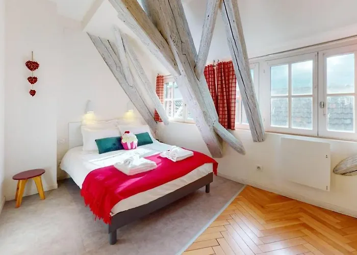 Le Nid Des Tanneurs Centre Apartment Colmar