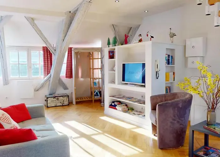 Le Nid Des Tanneurs Centre Colmar