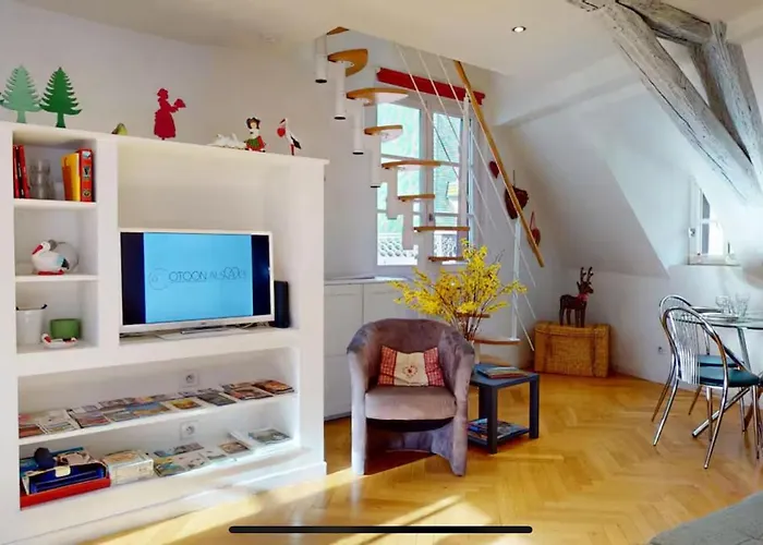 Le Nid Des Tanneurs Centre Colmar