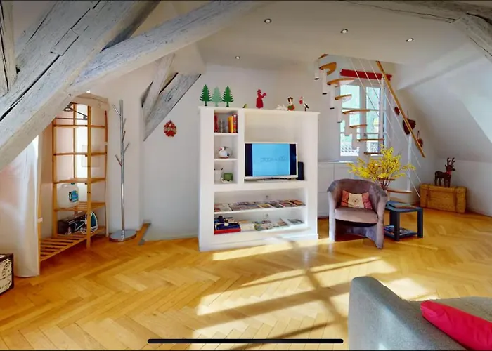 Apartment Le Nid Des Tanneurs Centre Colmar